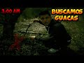 Buscamos tesoros guacas en semana santa  tatto vlogs