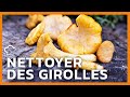 Ref:3Ltx7ETe7z0 Nettoyer des girolles les food'cuisine