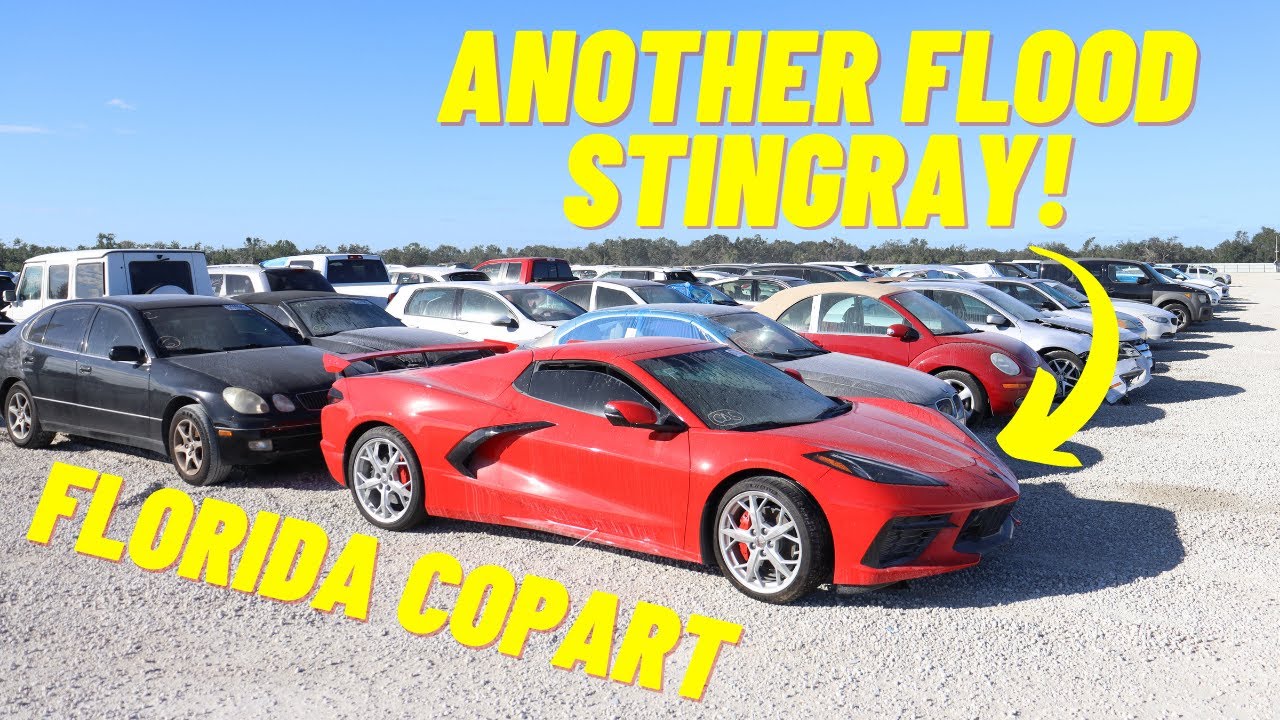 WE CHECK OUT A 2022 FLOODED STINGRAY & MORE AT FLORIDA COPART YouTube