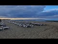 Das aktuelle Wetter in Kurzform....Maspalomas 1.5.26