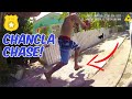 Police CHASE man in FLIP FLOPS
