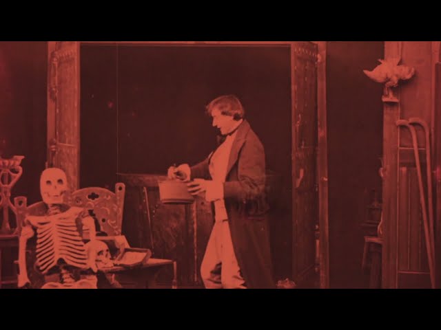 The Weeping Willows - Southern Gothic