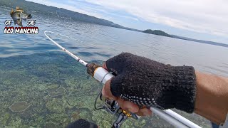 Ultra light casting || Kancra 502 Tor 2-5 lbs, Fugu Eiji 1000 || Bulagi - BangKep || @acomancing