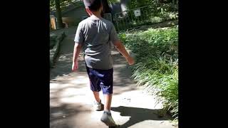 Bear Hollow Zoo