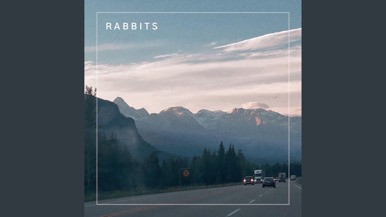 Yut Rabbit Rabbits - YouTube