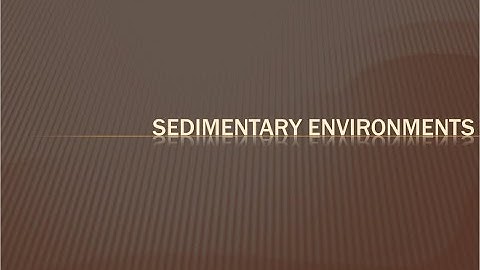 Sedimentary Environments