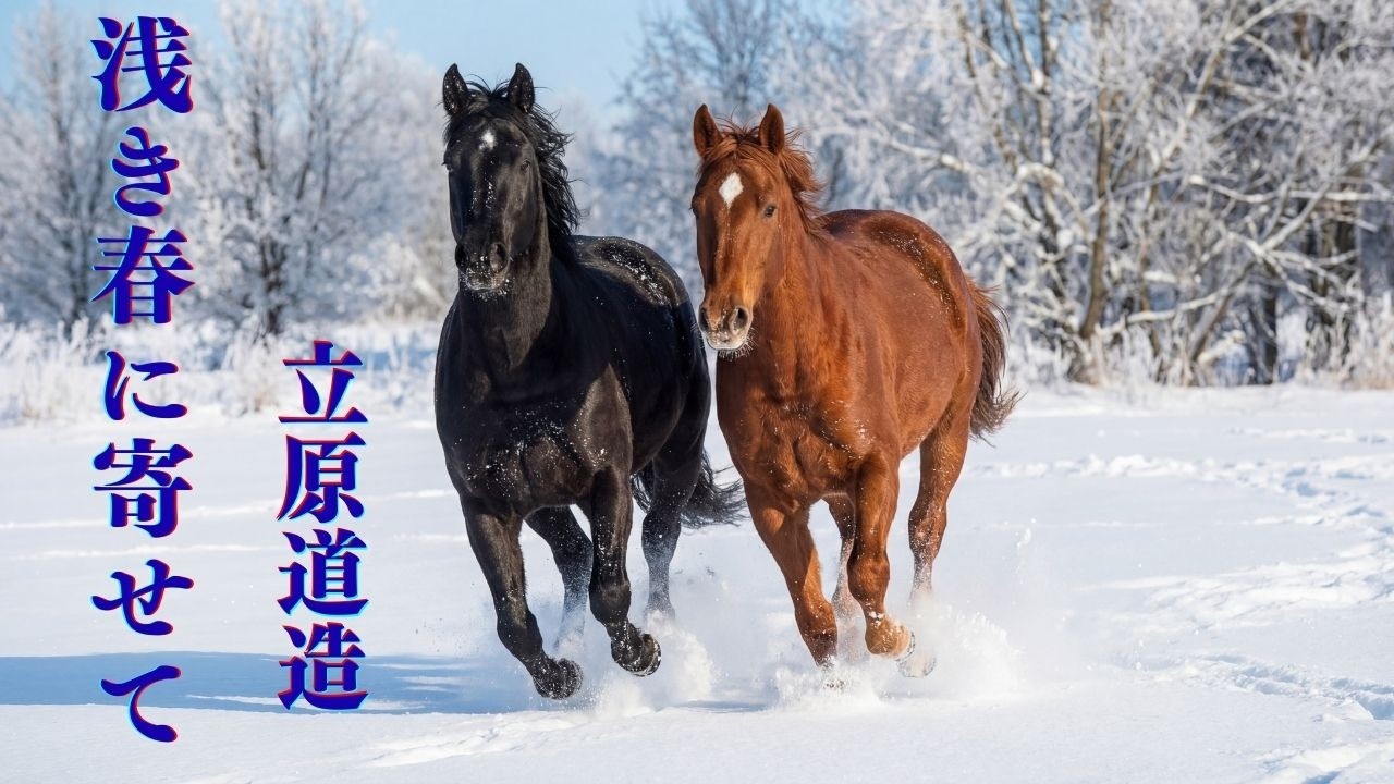 「浅き春に寄せて」  立原道造 ... 今は二月。まだ雪景色のなかにいるが、たしかにどこかで春がきこえている――でも、私には.....