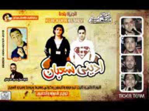 برج النور الحمص