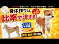 身体作りが苦手な人へ！羊毛フェルトで全身バランスを整えるコツ