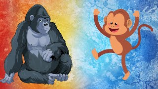 Apes vs. Monkeys: Spotting the Differences! by Nowuwu 473 views 1 year ago 4 minutes, 18 seconds