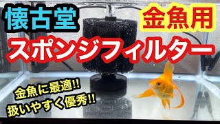 【金魚 懐古堂】金魚用スポンジフィルター100S‼︎導入しました‼︎【金魚に最適‼︎扱いやすく優秀です】