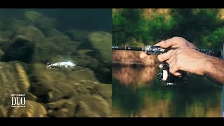 Lure Mastercl Tetra Works Toto 42S - How To