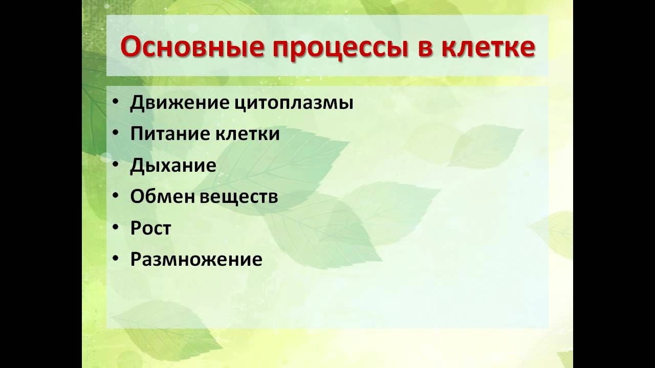 Растительная клетка обмен веществ. Процессы жизнедеятельности клетки. Основные процессы жизнедеятельности клетки. Основные процессы растительной клетки.