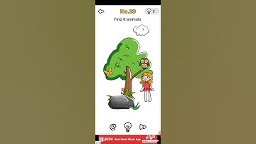 Brain Out 29 Level; Find 8 Animals Answer