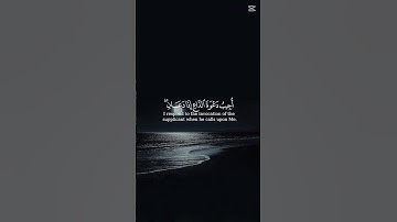 تلاوة قرآن بصوت أحمد النفيس 🌙 مع الترجمه الإنجليزيه