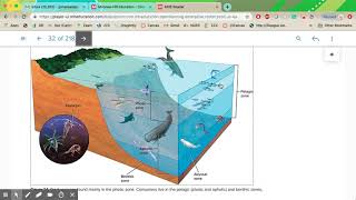 2929A Module 3 Lesson 3 Aquatic Ecosystems
