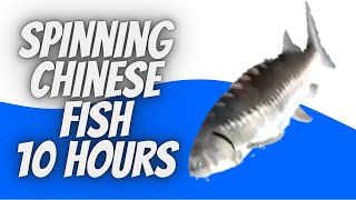 Spinning Chinese Fish 10 Hours