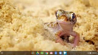 Easy Access to Chromebook Accessibility