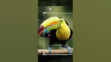 This IS Why Everyone Loves OM-1 #shorts #om1