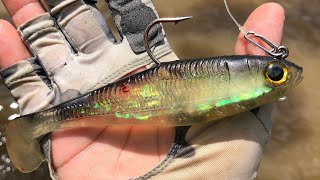 Catching a river monster in downtown Richmond va the James river