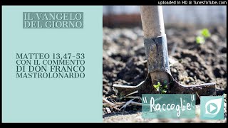 Vangelo del 30 Luglio 2020: Matteo 13, 47-53 con il commento di don Franco Mastrolonardo