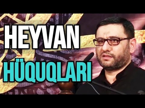 Adamlar Qırılır Danışan Yoxdur, Amma... - Hacı Şahin - Məhəbbət və Rəhmət