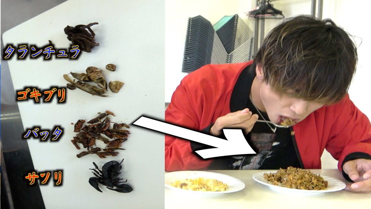 【ブチギレ】ゲテモノ入りチャーハンをバレないように食わせてみたwww