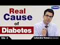 Actual Cause of Diabetes | डायबिटीज रिवर्सल  | Insulin Resistance in Diabetes type 2 | Diabexy