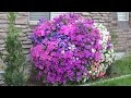 Pallet Planter Box for Amazing Cascading Flowers