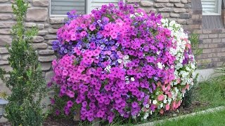 Pallet Planter Box for Amazing Cascading Flowers Pallet planter box free plans: http://www.hertoolbelt.com/pallet-planter-box/ Build this simple planter box from pallets or your choice