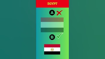 Can You Guess the Correct Flag 5 Level Quiz Challenge #shorts #flagquiz #logos #test #psychology