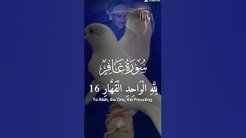 لَمًنِ آلَمًلَکْ آلَيَوٌمً #تلاوة_هادئة #اكسبلور #قران_كريم #mohamed_gomaa_elpry #لايك #دويتو