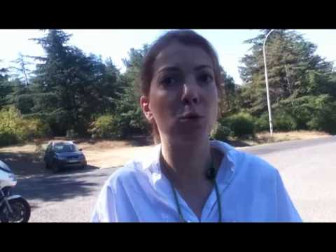 კუს ტბაზე ნერგების ამოღების პროცესი განახლდა