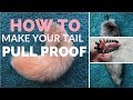 كيفية جعل ذيلك مقاوم ا للسحب كل ذيولي