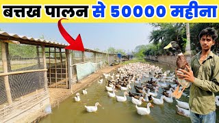 500 बतख से ₹50,000 महीना कमाई कैसे ? | Duck Farming Business