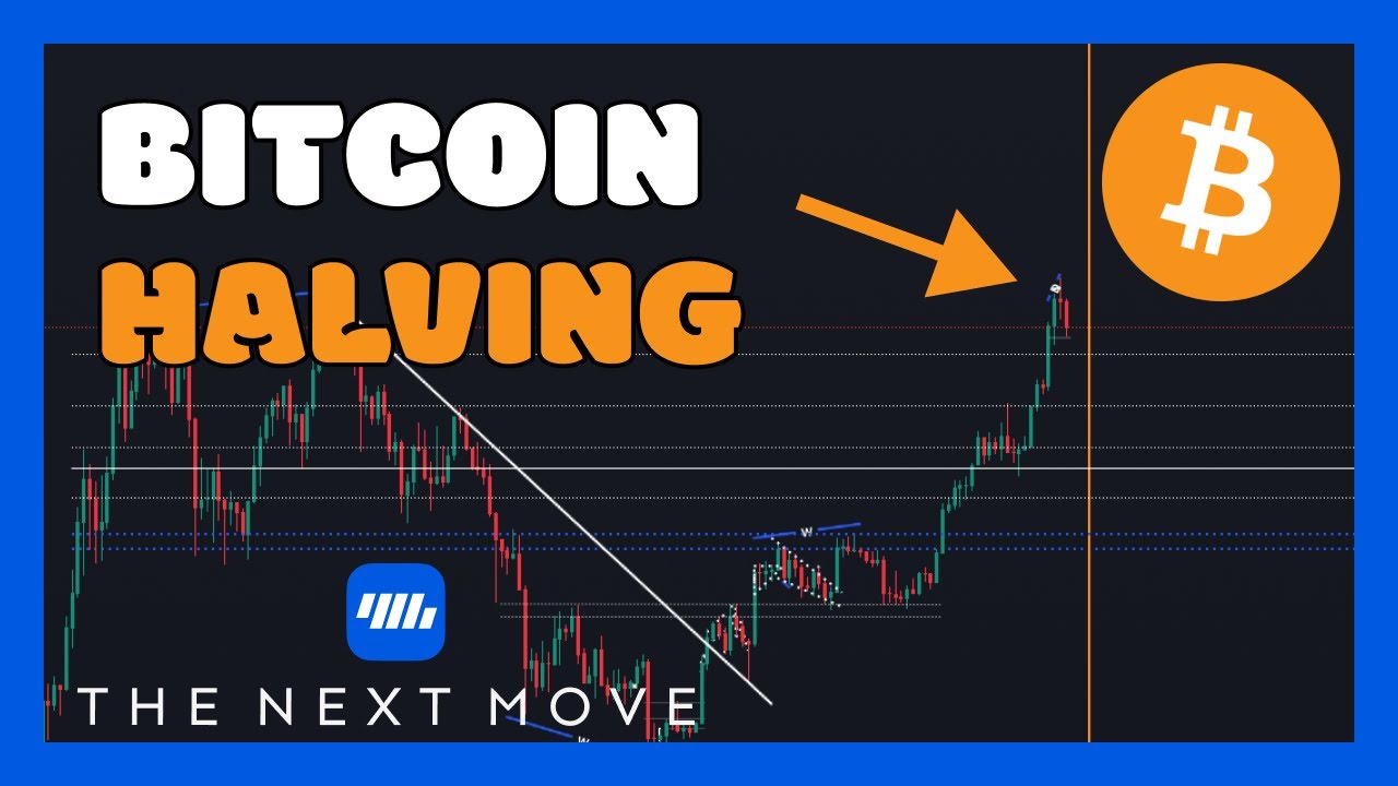 30 dagen tot de BITCOIN HALVING!📉 Wat gaat dit betekenen? | BULLRUN | BTC  | CRYPTO | CORRECTIE