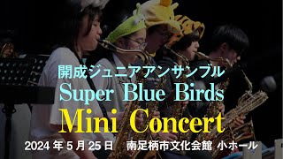 Super Blue Birds Mini Concert 2024 - 開成ジュニアアンサンブル