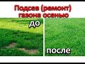 Подсев (ремонт) газона осенью.