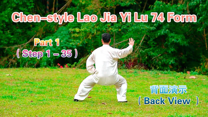 Chen-style Tai Chi Lao Jia Yi Lu 74 Form (Back Vie...