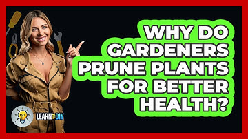 Why Do Gardeners Prune Plants For Better Health? - LearnToDIY360.com