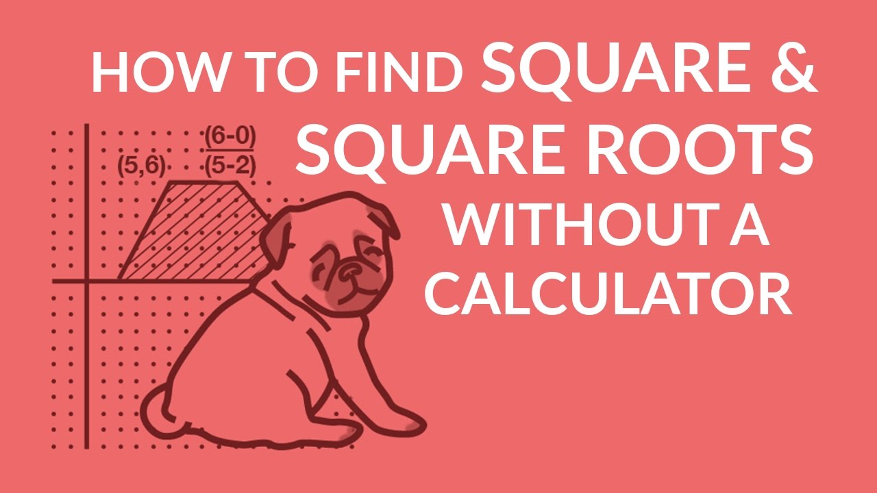 ʕ•ᴥ•ʔ Radical numbers: how to find Square & square roots without calculators - YouTube