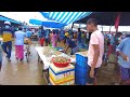 Busiest Sea Food  Market Sri Lanka