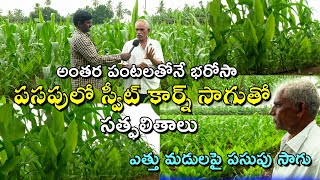 అంతరపంటలతోనే రైతుకు భరోసా || Good results with Sweet Corn Cultivation in Turmeric || Karshaka Mitra