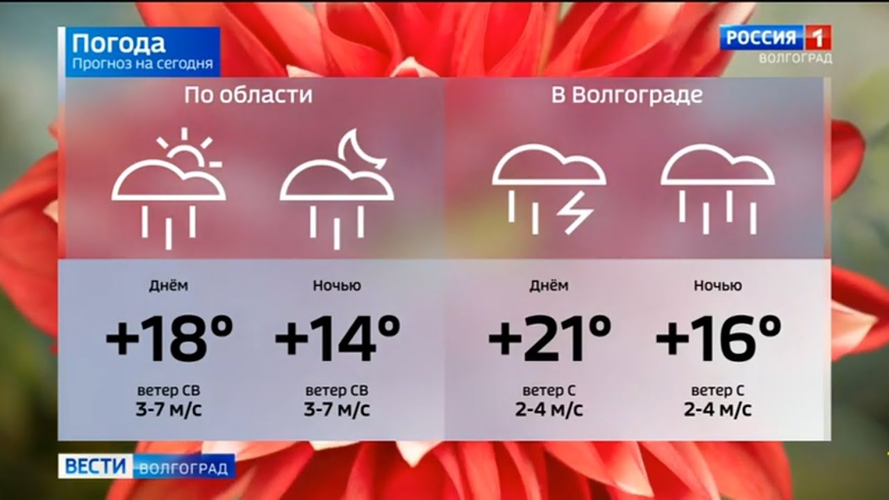 Погода в волгограде на май 2024 года. Погода в Волгограде на 14. Прогноз погоды в Волгограде на 14 дней. Прогноз погоды в Волгограде на сегодня. Погода в Волгограде сейчас.