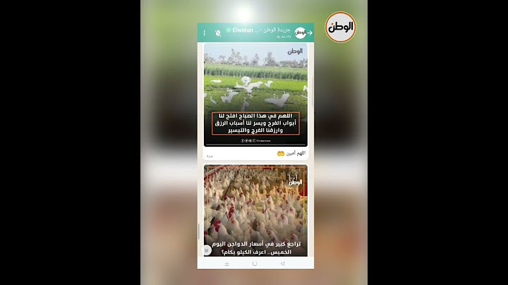 خطوات الاشتراك في قناة «الوطن» الإخبارية على الواتساب.. تابع أخبار مصر والعالم