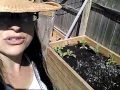 Cold frame toppers for my raised garden beds zone 5 gardening Michigan Cold frame toppers for my raised garden beds zone 5 gardening Michigan