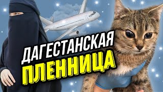 Спасение кошки из Дагестана, которая месяц таскала за собой лапу