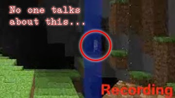 New Evidence in the Search for Herobrine