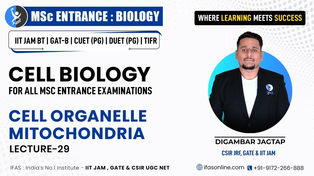 𝐋𝐞𝐜𝐭𝐮𝐫𝐞 𝟐𝟗 : 𝐂𝐞𝐥𝐥 𝐎𝐫𝐠𝐚𝐧𝐞𝐥𝐥𝐞 : 𝐌𝐢𝐭𝐨𝐜𝐡𝐨𝐧𝐝𝐫𝐢𝐚 || 𝐂𝐞𝐥𝐥 𝐁𝐢𝐨𝐥𝐨𝐠𝐲 𝐛𝐲 𝐃𝐉 𝐒𝐢𝐫 ||