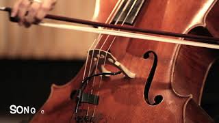 Cello-Sample-3